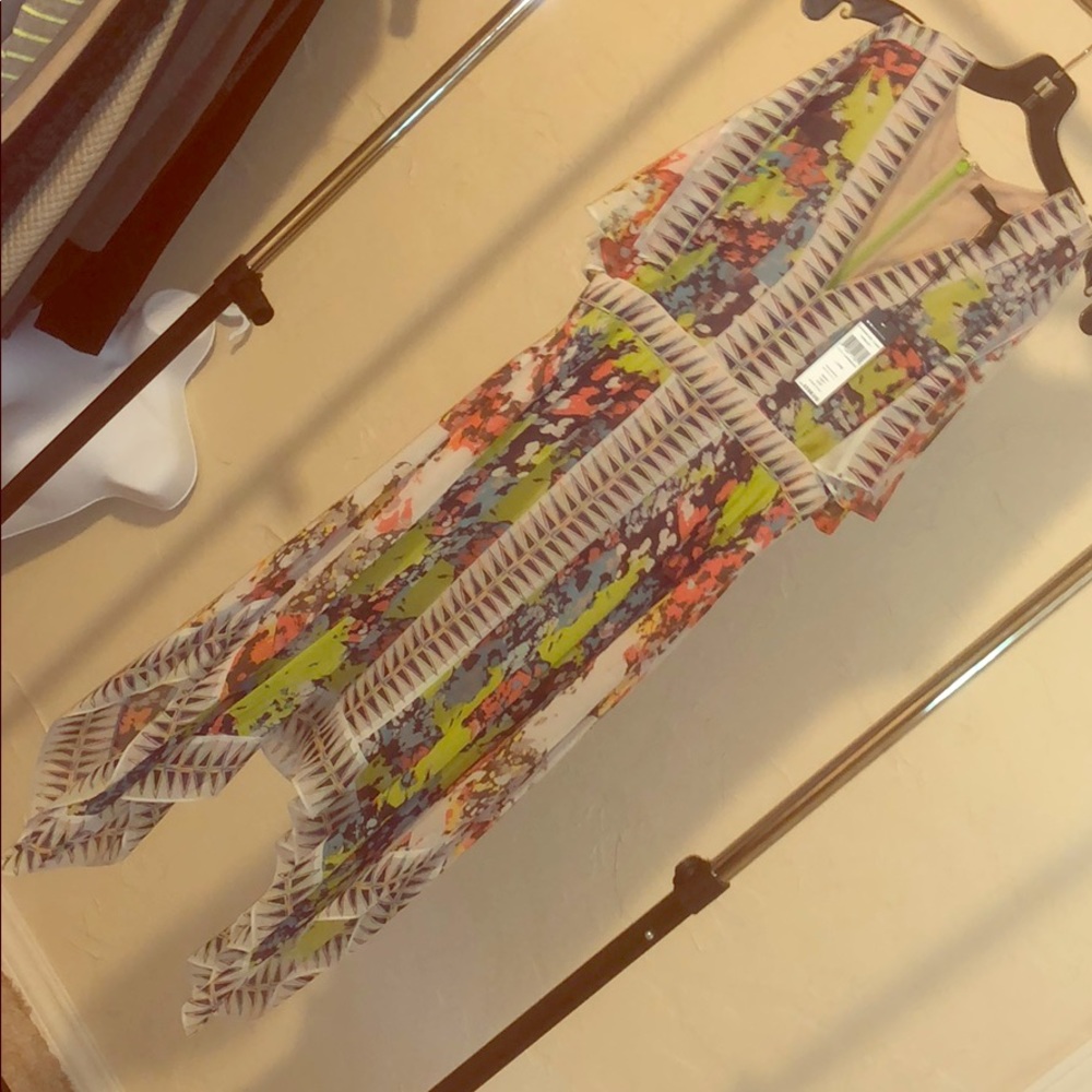 Roselle Bcbg dress